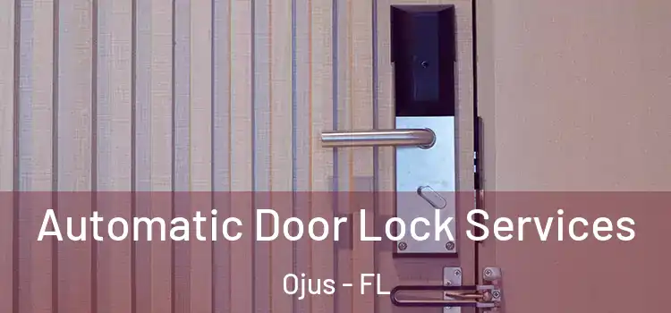 Automatic Door Lock Services Ojus - FL