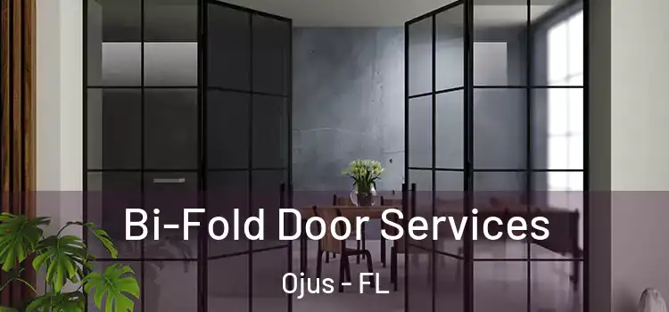 Bi-Fold Door Services Ojus - FL