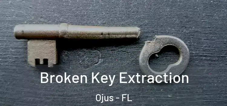 Broken Key Extraction Ojus - FL