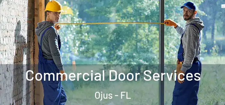 Commercial Door Services Ojus - FL