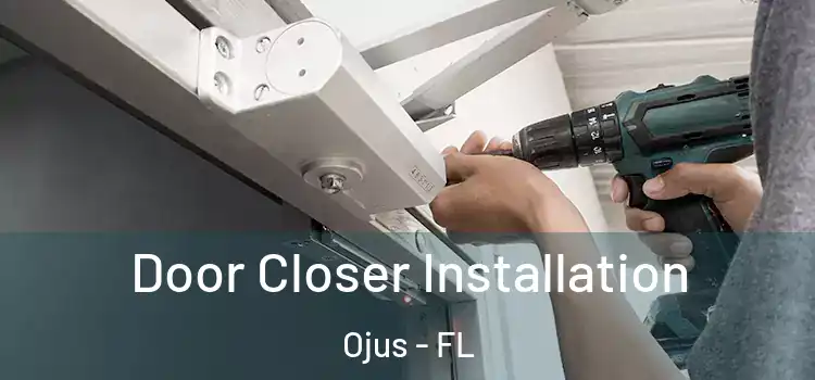 Door Closer Installation Ojus - FL