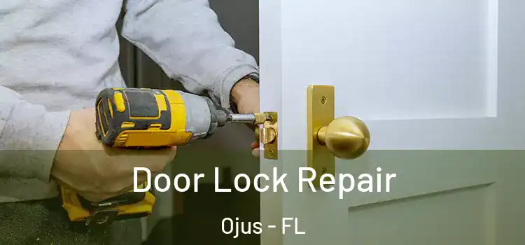  Door Lock Repair Ojus - FL