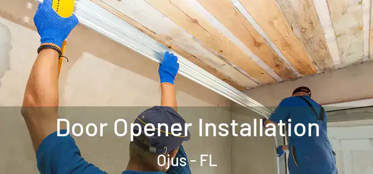 Door Opener Installation Ojus - FL