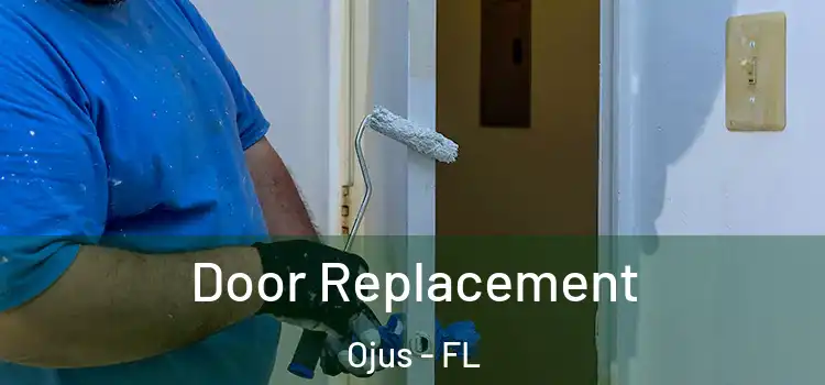 Door Replacement Ojus - FL