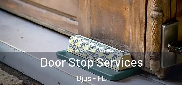 Door Stop Services Ojus - FL