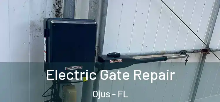  Electric Gate Repair Ojus - FL