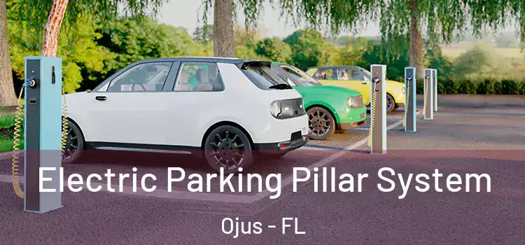  Electric Parking Pillar System Ojus - FL