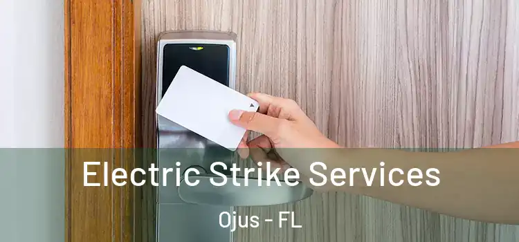 Electric Strike Services Ojus - FL