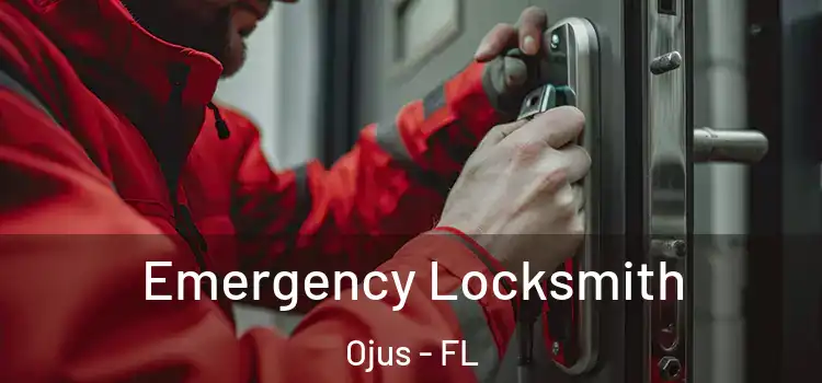 Emergency Locksmith Ojus - FL