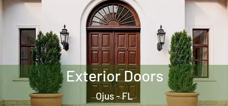 Exterior Doors Ojus - FL