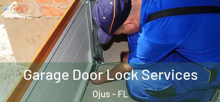 Garage Door Lock Services Ojus - FL