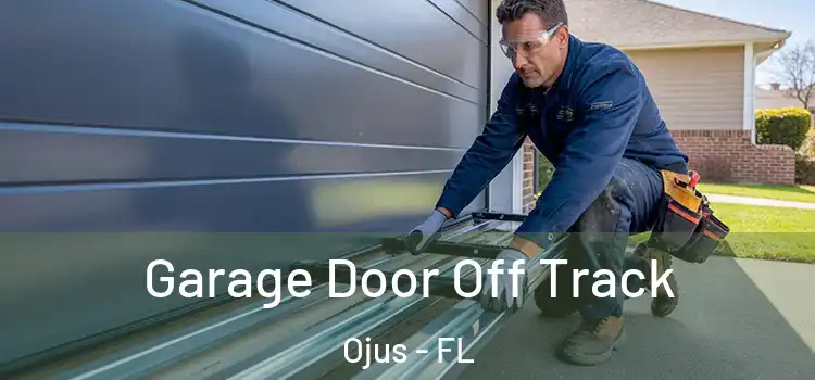 Garage Door Off Track Ojus - FL