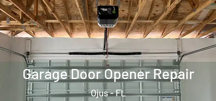  Garage Door Opener Repair Ojus - FL
