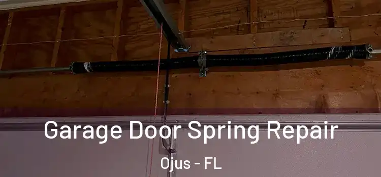  Garage Door Spring Repair Ojus - FL