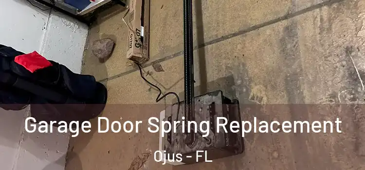  Garage Door Spring Replacement Ojus - FL