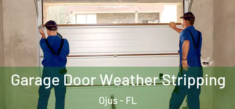  Garage Door Weather Stripping Ojus - FL