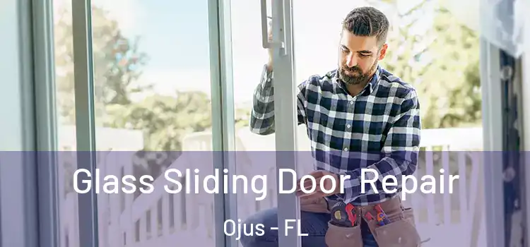 Glass Sliding Door Repair Ojus - FL
