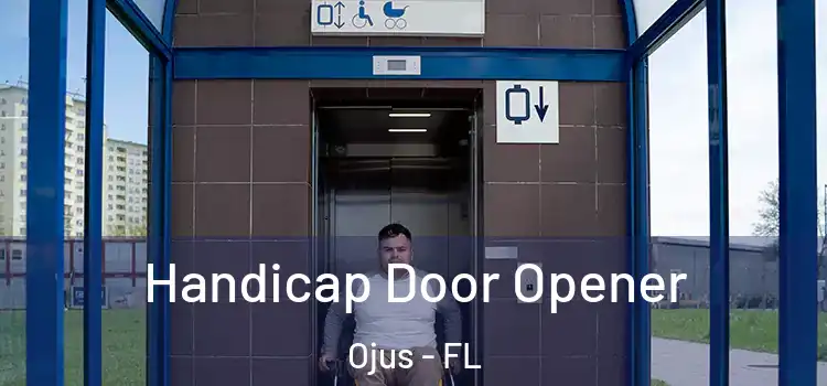 Handicap Door Opener Ojus - FL