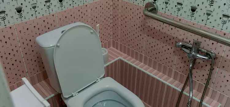 Meeting Diverse Needs With Accessible Restroom Solutions in Ojus, FL
