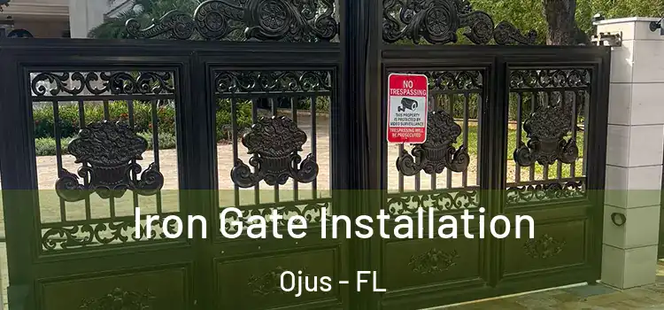 Iron Gate Installation Ojus - FL