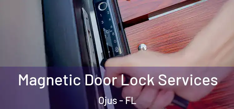 Magnetic Door Lock Services Ojus - FL