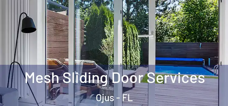 Mesh Sliding Door Services Ojus - FL