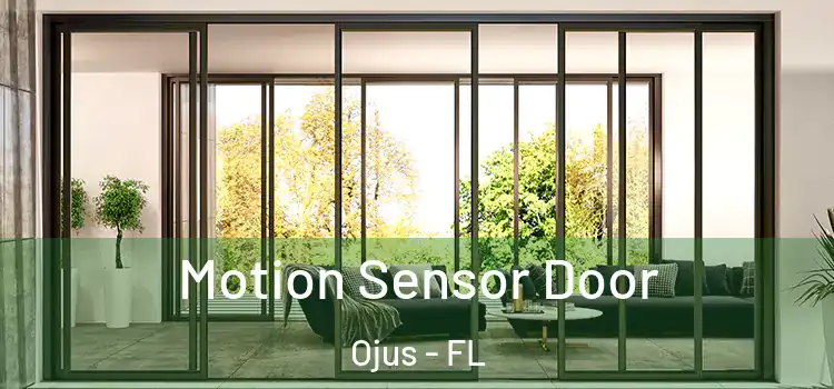 Motion Sensor Door Ojus - FL