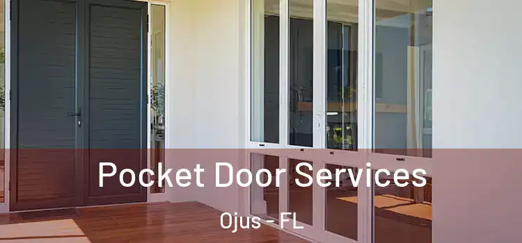 Pocket Door Services Ojus - FL