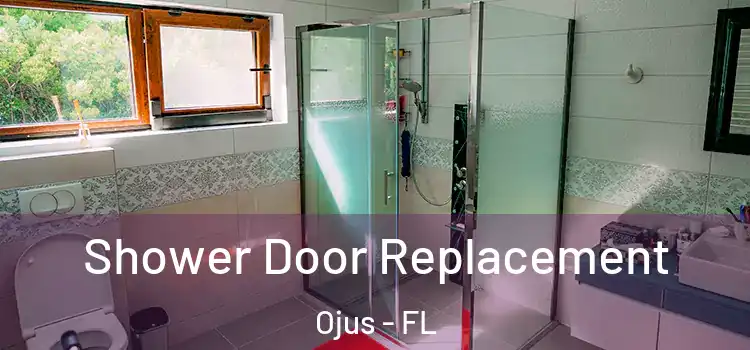 Shower Door Replacement Ojus - FL