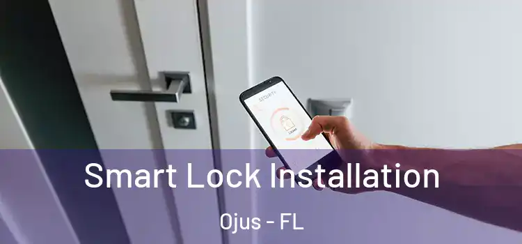 Smart Lock Installation Ojus - FL