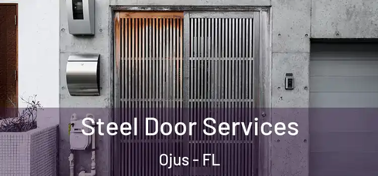 Steel Door Services Ojus - FL