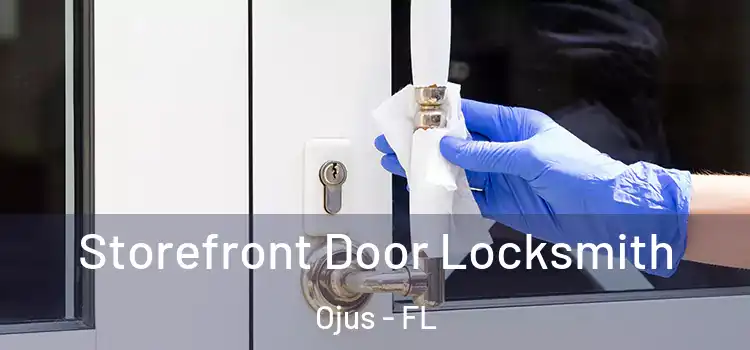 Storefront Door Locksmith Ojus - FL