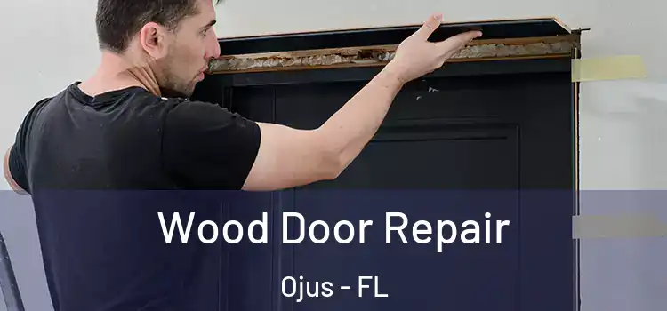 Wood Door Repair Ojus - FL